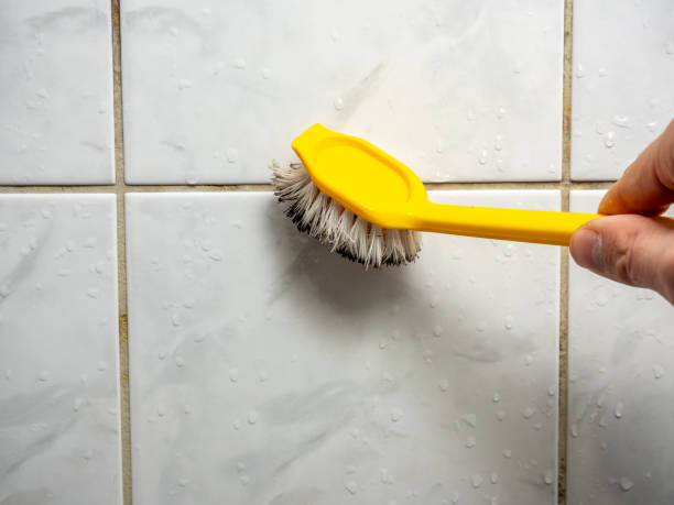 Mold Removal and Inspection in Woodland Hills, UT