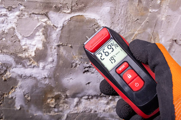 Best Home Mold Removal  in Woodland Hills, UT