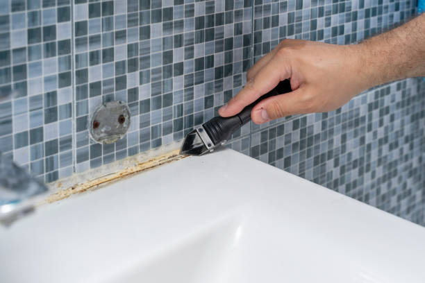 Reliable Woodland Hills, UT Mold Removal Solutions