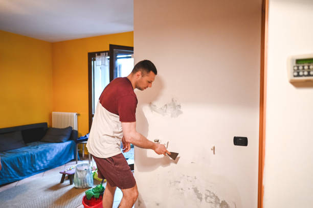 Professional Mold Removal in Woodland Hills, UT